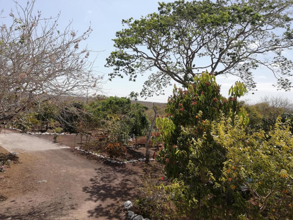 Cucuve Eco Hostal Puerto Baquerizo Moreno Kültér fotó