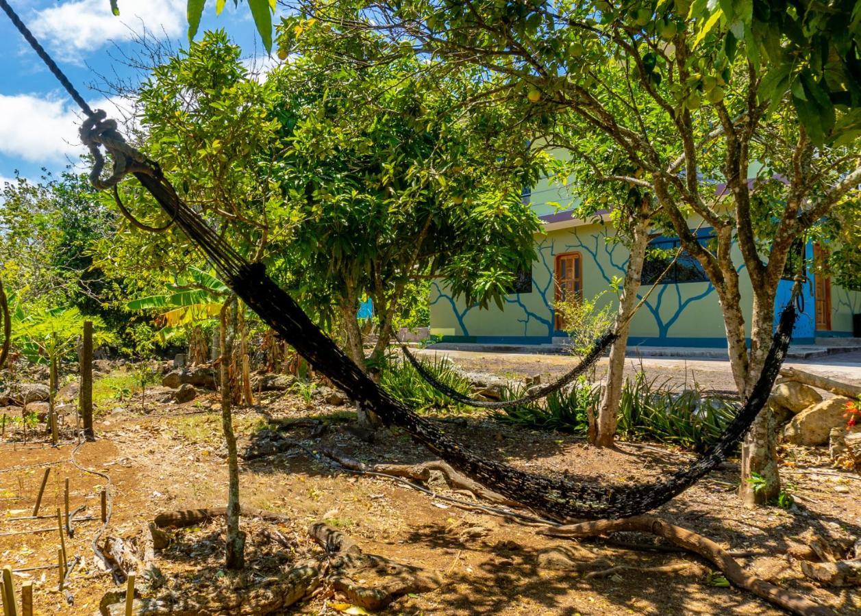 Cucuve Eco Hostal Puerto Baquerizo Moreno Kültér fotó