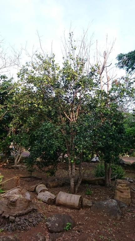 Cucuve Eco Hostal Puerto Baquerizo Moreno Kültér fotó