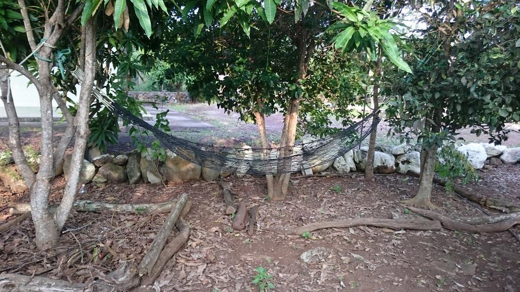 Cucuve Eco Hostal Puerto Baquerizo Moreno Kültér fotó