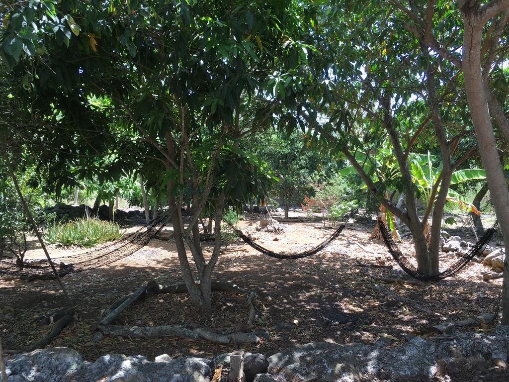 Cucuve Eco Hostal Puerto Baquerizo Moreno Kültér fotó
