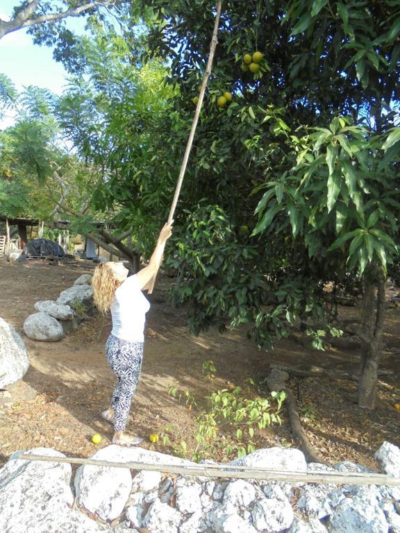 Cucuve Eco Hostal Puerto Baquerizo Moreno Kültér fotó